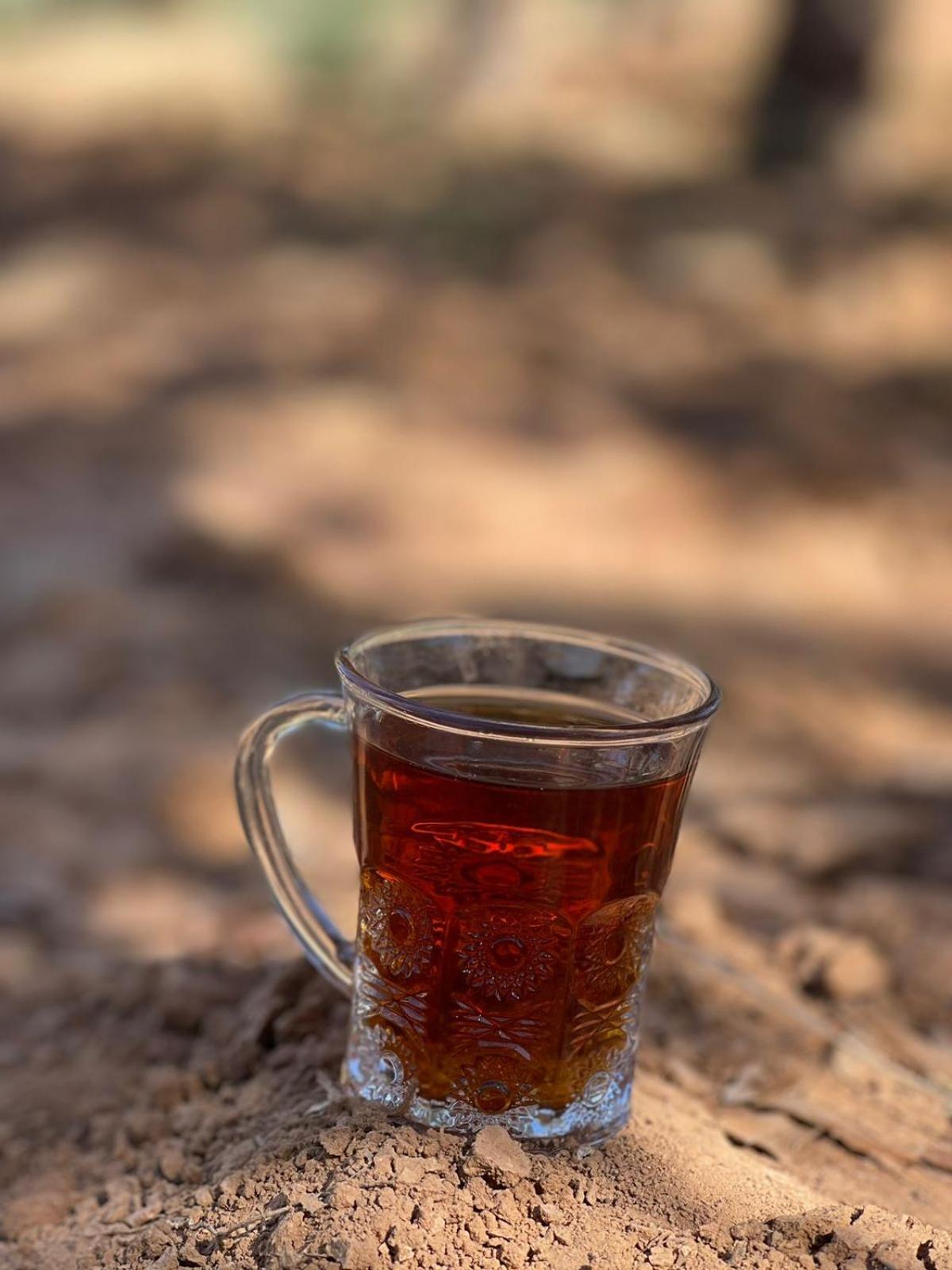 Petra Fort Hotel Wadi Musa Zewnętrze zdjęcie